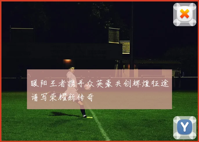 暖阳王者携手众英豪共创辉煌征途谱写荣耀新传奇